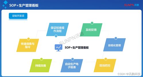 SOP电子作业指导书系统SaaS部署及应用分析 电子政务系统开发新视角
